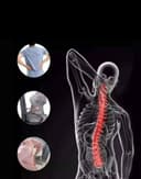 8-in-1 Blueidea Fascial Gun Massager 2